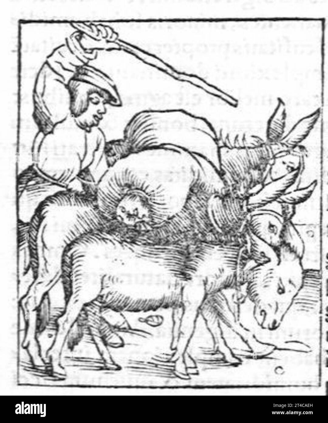 Hortus sanitatis, quatuor libris haec quae snbsequuntur complectens Foto Stock