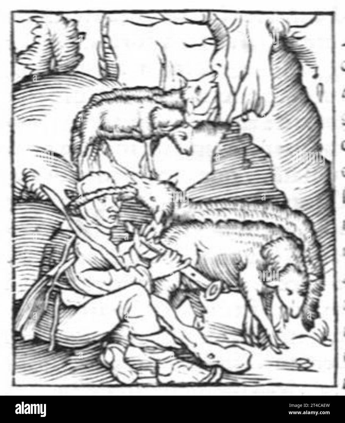 Hortus sanitatis, quatuor libris haec quae snbsequuntur complectens Foto Stock