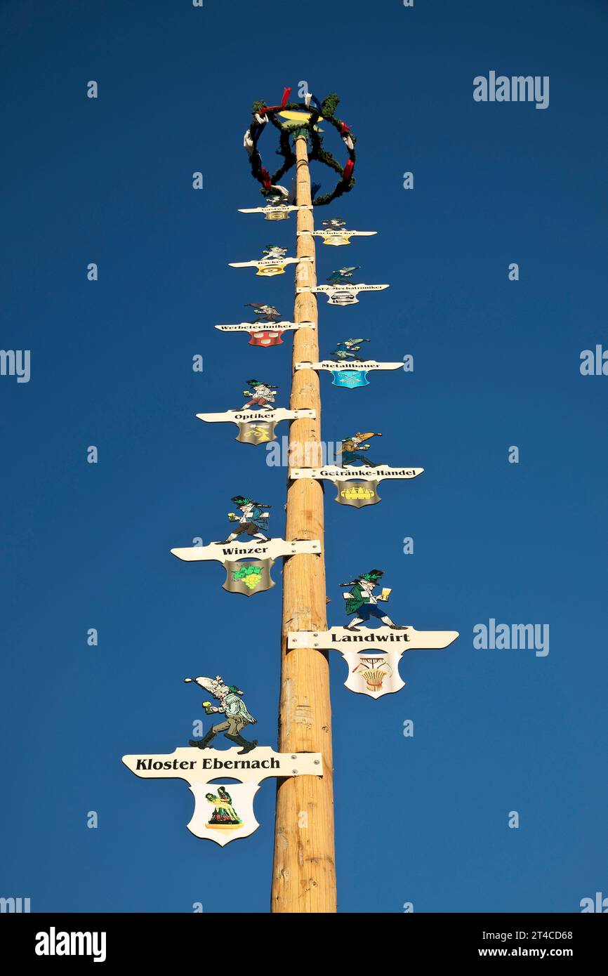maypole di Cochem, Germania, Renania-Palatinato, Cochem Foto Stock
