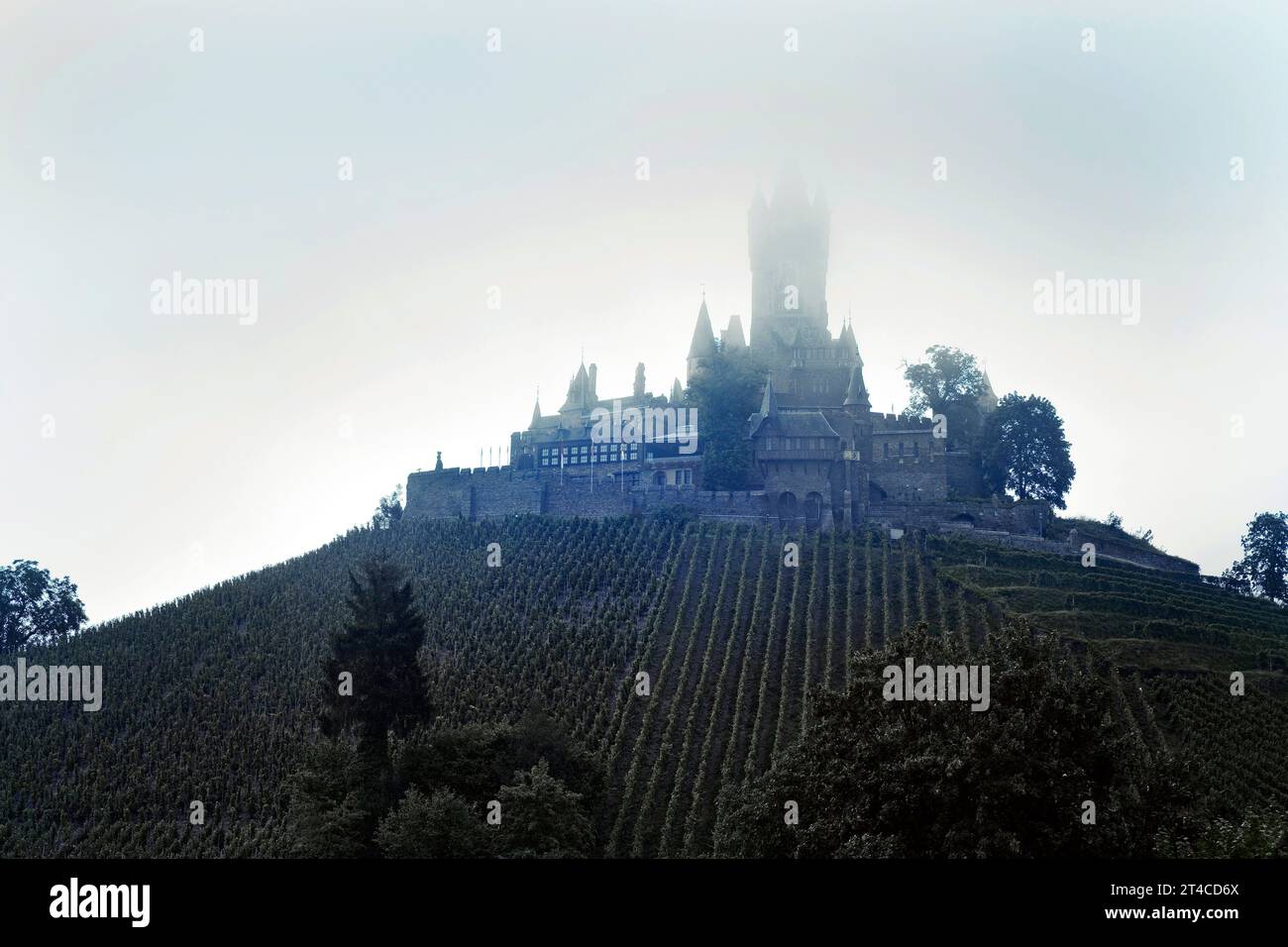 Castello imperiale di Cochem nella nebbia, Germania, Renania-Palatinato, Cochem Foto Stock