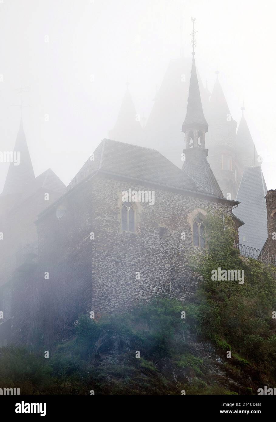 Castello imperiale di Cochem nella nebbia, Germania, Renania-Palatinato, Cochem Foto Stock