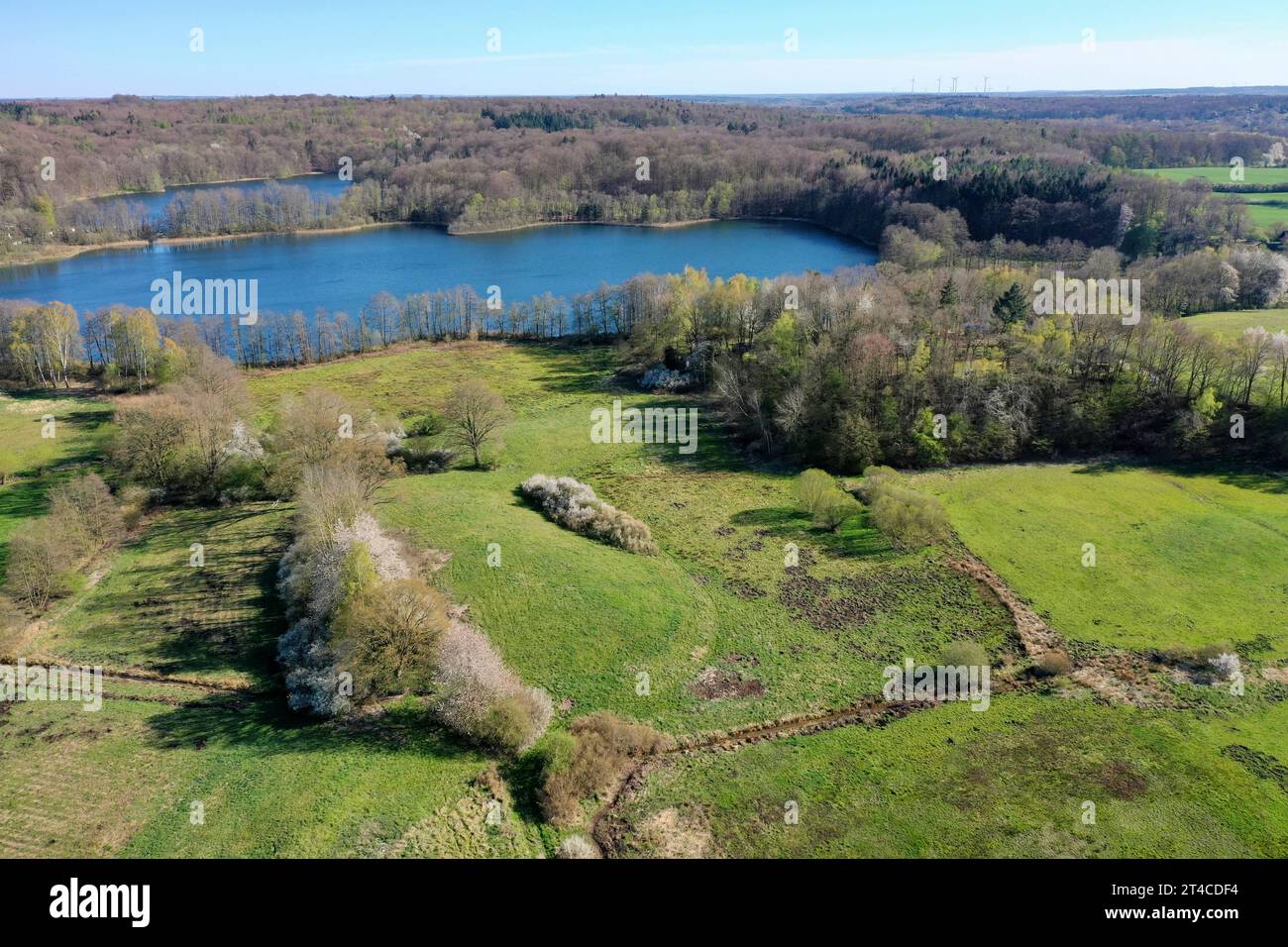 Vista aerea del paesaggio di siepi murali e del lago Lankauf in primavera, Germania, Schleswig-Holstein Foto Stock