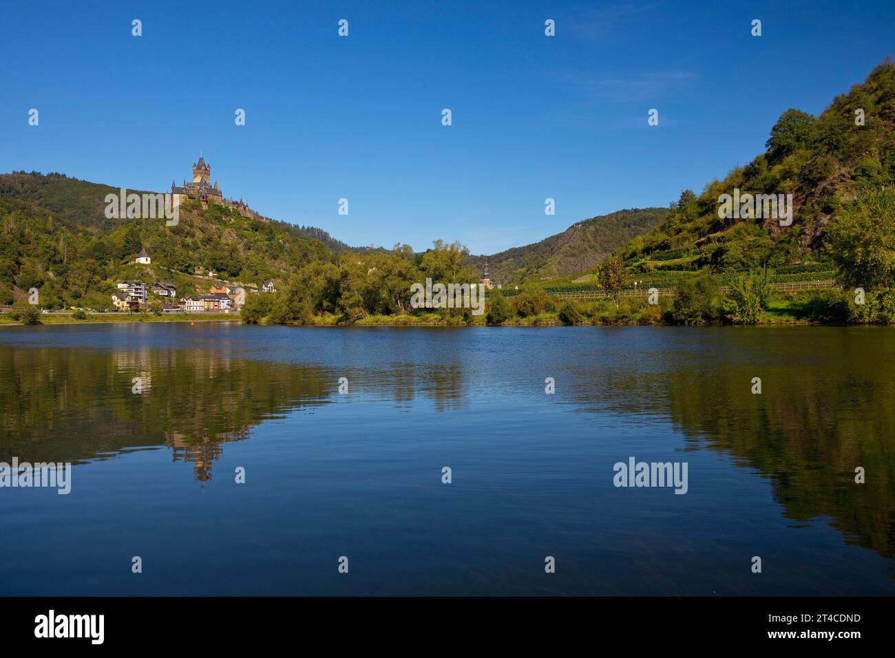 Valle della Mosella con castello imperiale di Cochem , Germania, Renania-Palatinato, Cochem Foto Stock