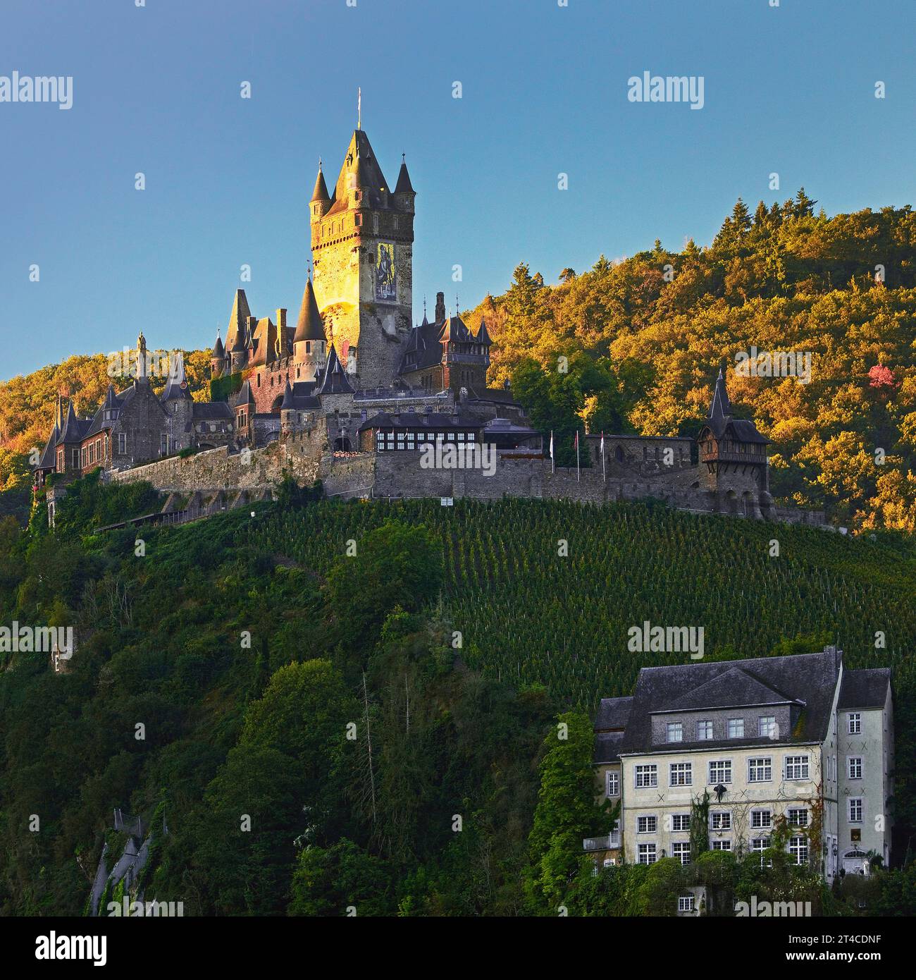 Castello Imperiale di Cochem , Germania, Renania-Palatinato, Cochem Foto Stock