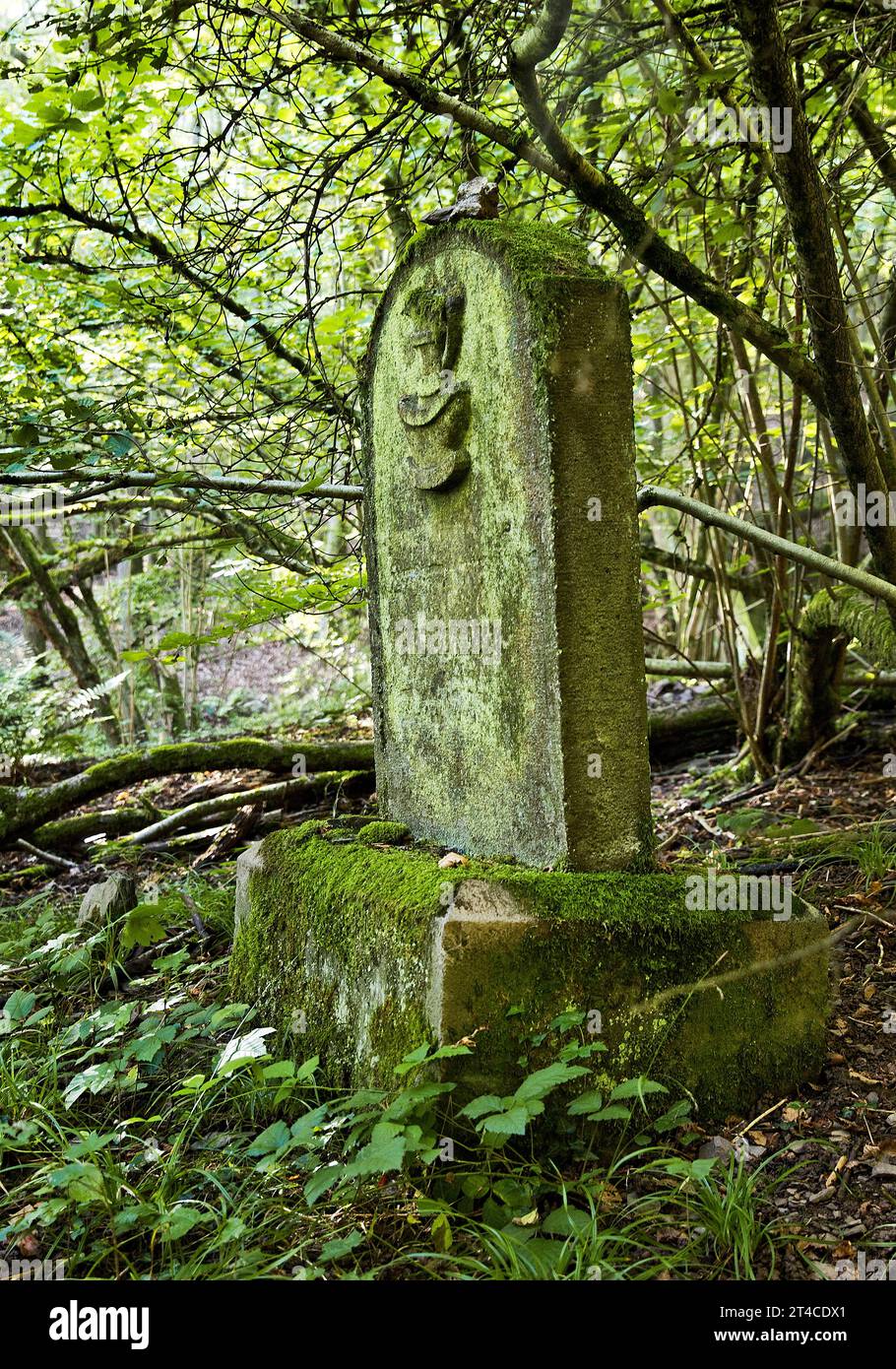 Antico cimitero ebraico a Knippwiese nella foresta, Germania, Renania-Palatinato, Cochem Foto Stock