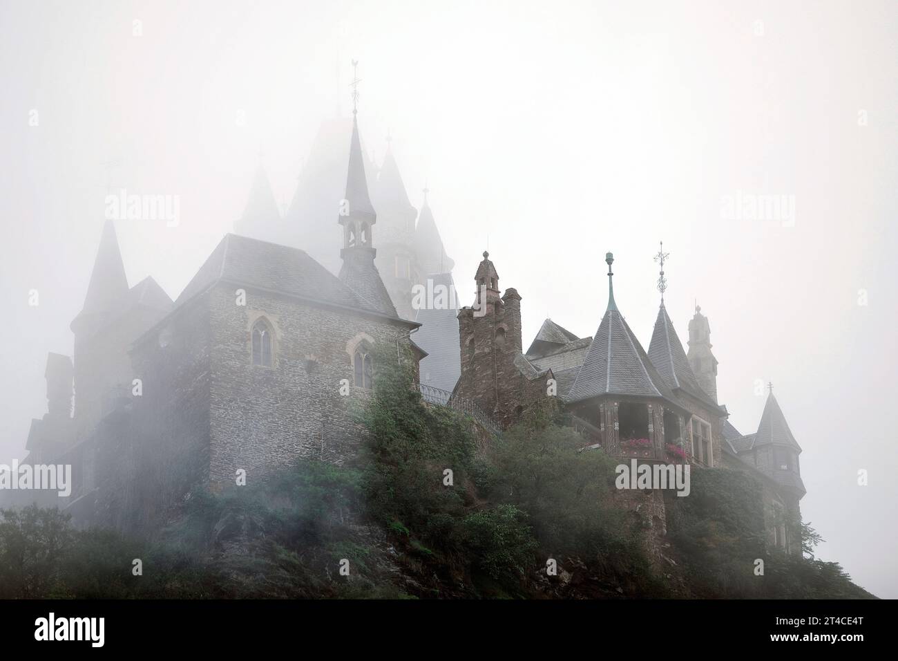 Castello imperiale di Cochem nella nebbia, Germania, Renania-Palatinato, Cochem Foto Stock