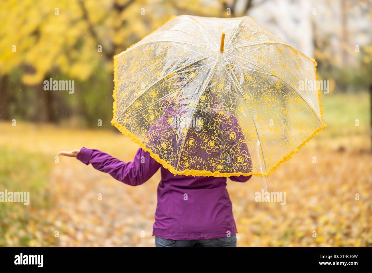Vista posteriore di una donna con un ombrello che cammina in un parco durante un autunno piovoso. Foto Stock