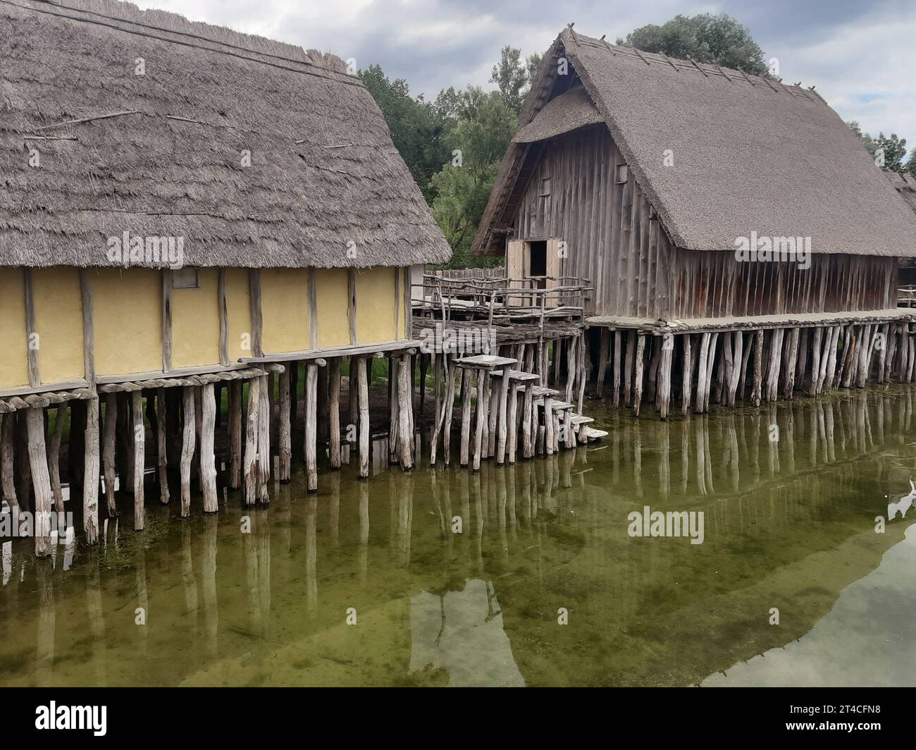 Case sul lago di Costanza, Germania Foto Stock