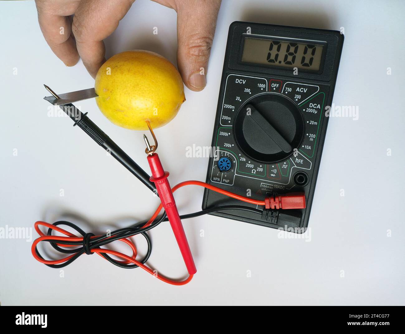 Batteria biologica. Generazione di energia elettrica dal limone e misurazione ITS con voltmetro. Livelli in millivolt, corrente elettrica. Batteria al limone. Foto Stock