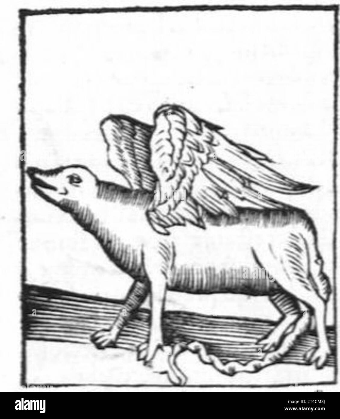 Hortus sanitatis, quatuor libris haec quae snbsequuntur complectens Foto Stock