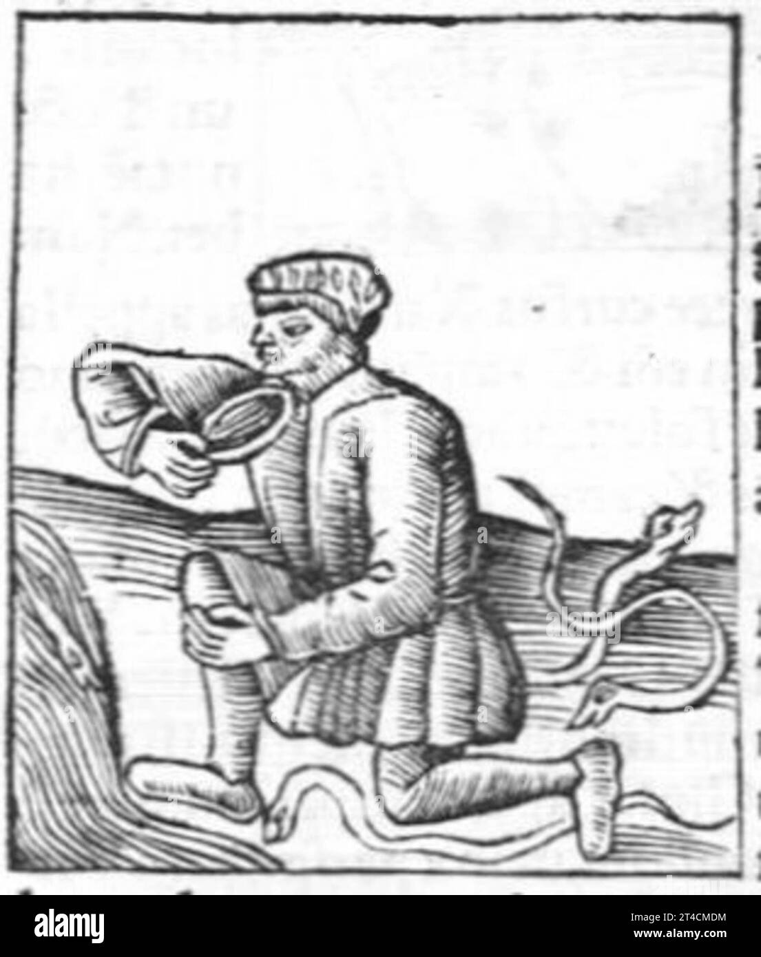 Hortus sanitatis, quatuor libris haec quae snbsequuntur complectens Foto Stock