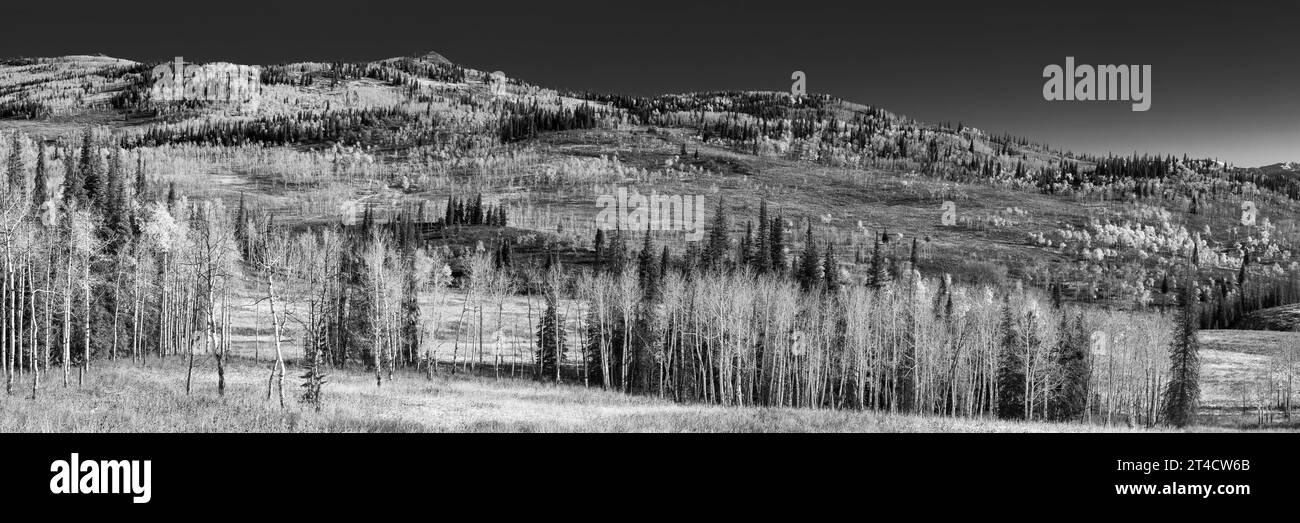 Panorama in bianco e nero dell'area intorno a Pilot's Knob Colorado. Cielo nero con un po' di fogliame bianco e un'aspra ridgelina e picco calvo Foto Stock