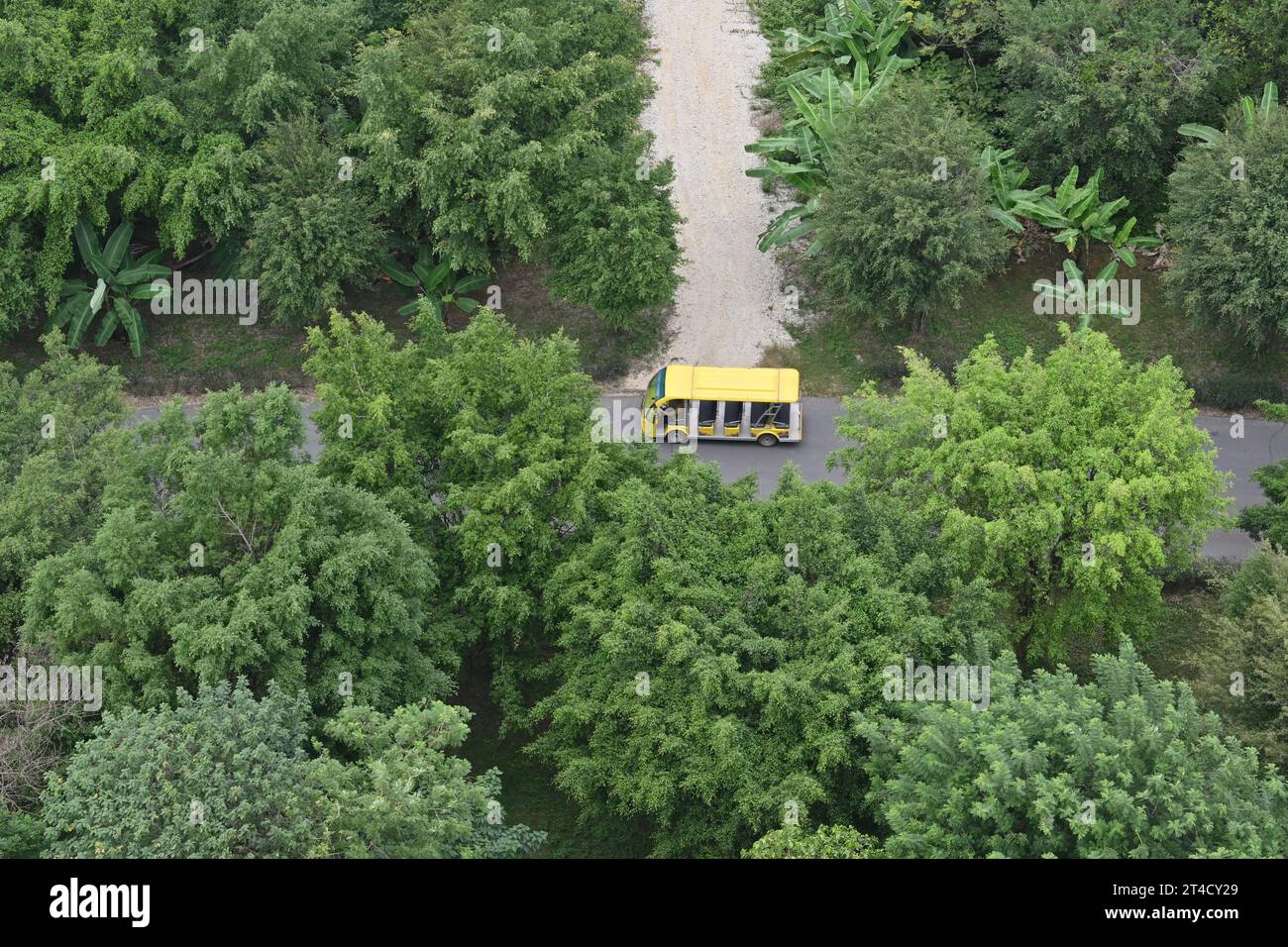 Autobus elettrico giallo all'interno della Pagoda di Bai Dinh, un complesso di templi buddisti situato sul monte Bai Dinh vicino a Ninh Binh, Vietnam Foto Stock