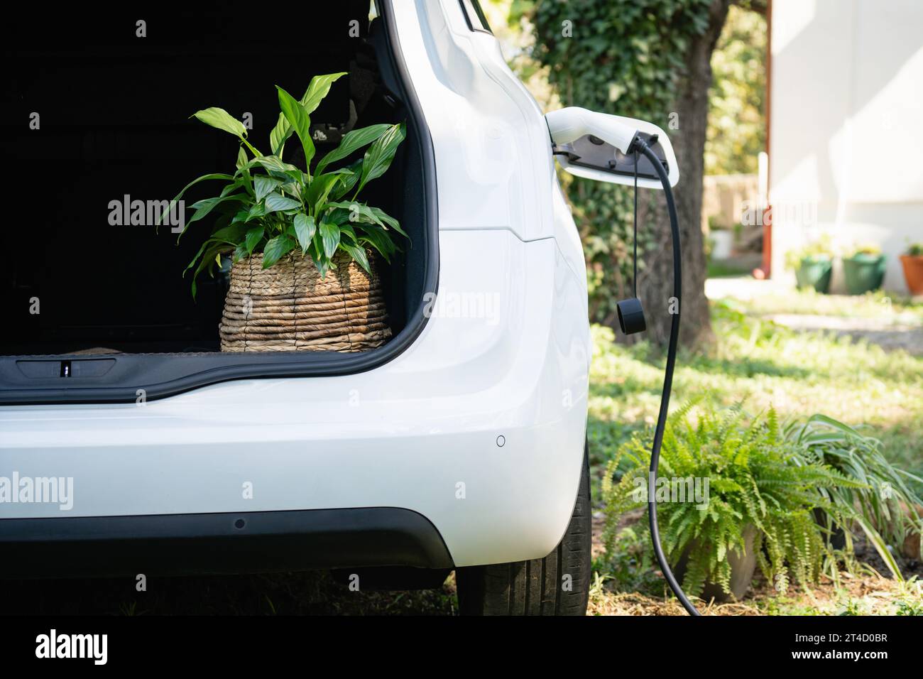 L'auto elettrica con fiori nel bagagliaio si ricarica vicino a una casa di campagna. Foto Stock