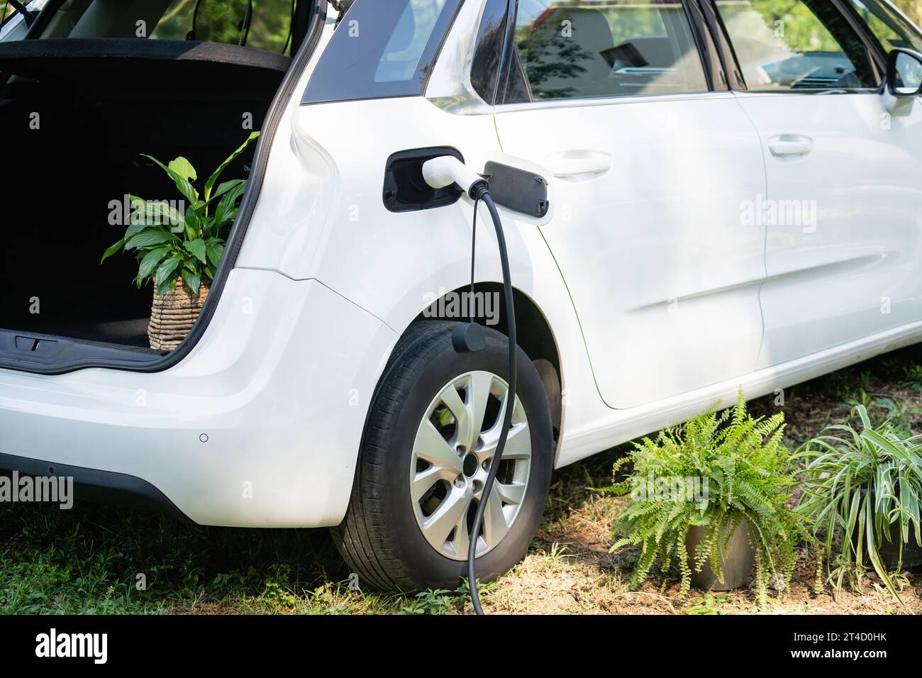 L'auto elettrica con fiori nel bagagliaio si ricarica vicino a una casa di campagna. Foto Stock