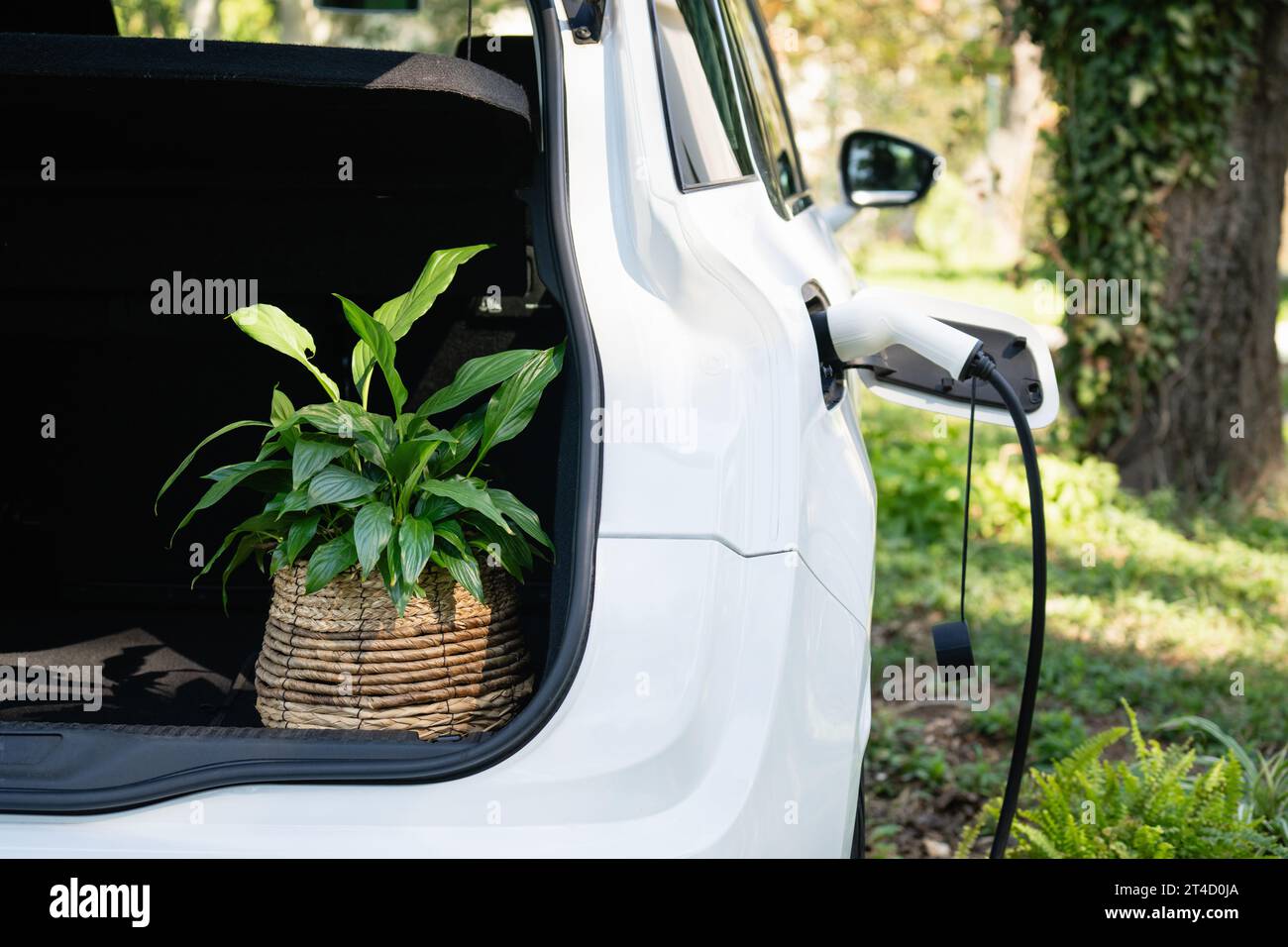 L'auto elettrica con fiori nel bagagliaio si ricarica vicino a una casa di campagna. Foto Stock