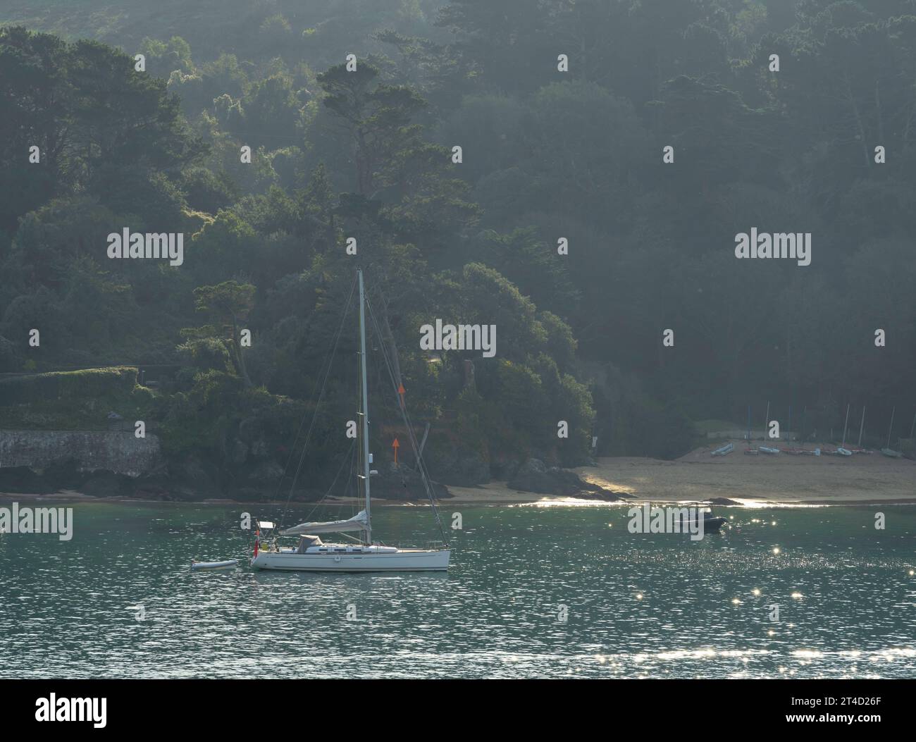Yacht sull'estuario di Kingsbridge a Salcombe, Devon, Inghilterra Foto Stock