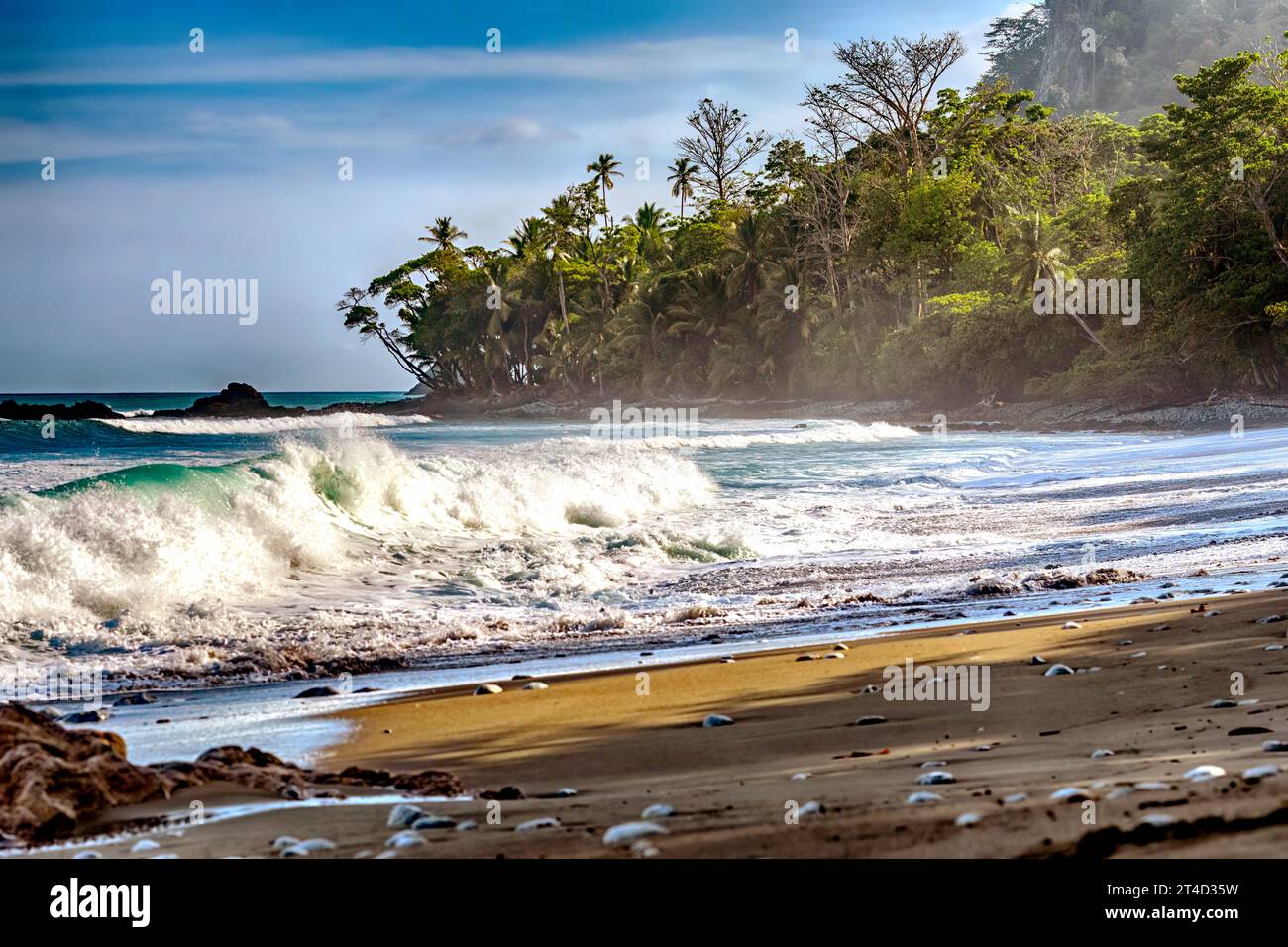 L'Oceano Pacifico incontra la foresta pluviale tropicale a Cabo Matapalo, penisola di osa, Costa Rica. Foto Stock