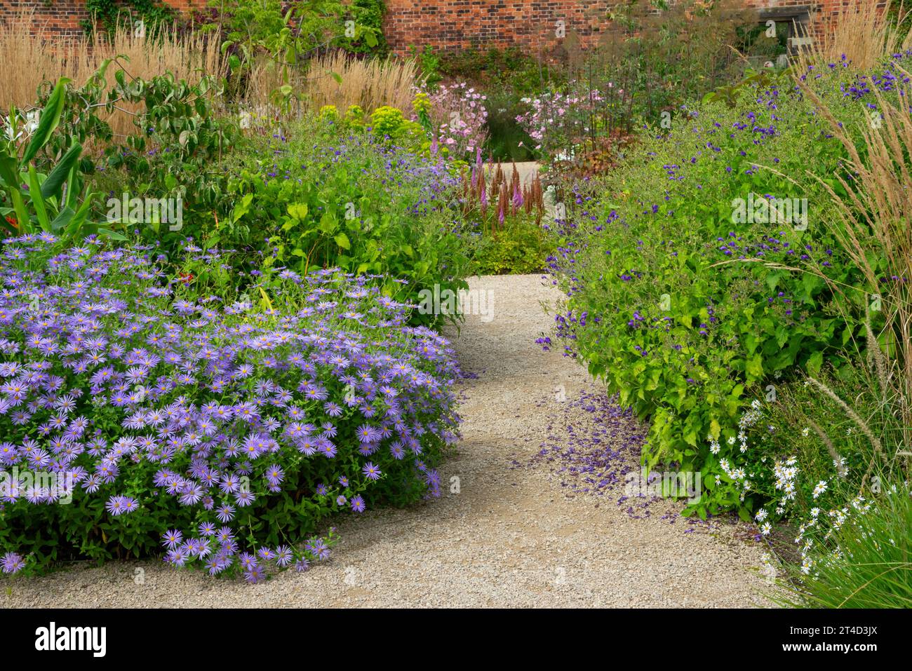 Piantare a fine estate nel Paradise Garden presso il giardino RHS Bridgewater a Worsley, Salford, Manchester, Inghilterra. Foto Stock