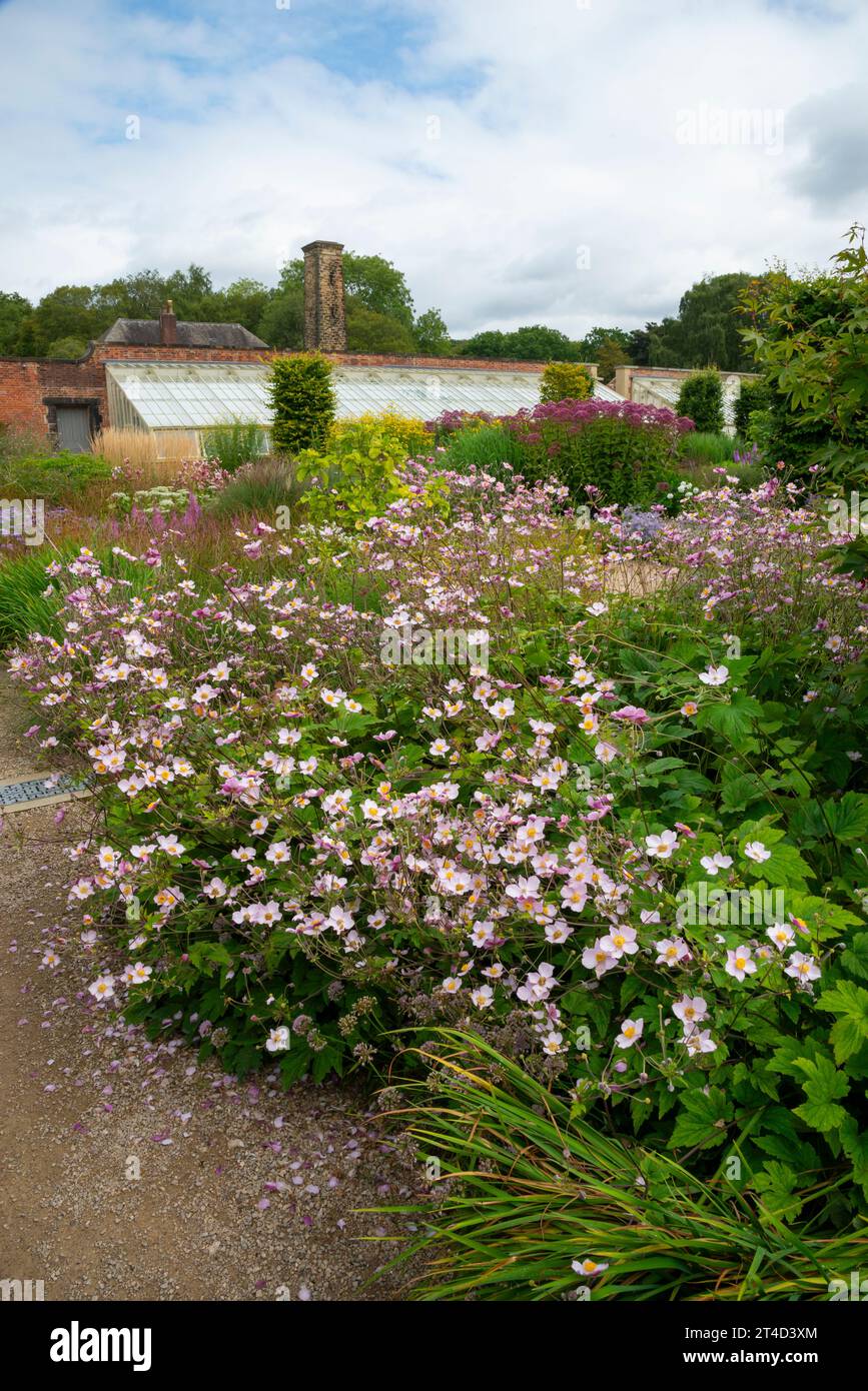 Piantare a fine estate nel Paradise Garden presso il giardino RHS Bridgewater a Worsley, Salford, Manchester, Inghilterra. Foto Stock