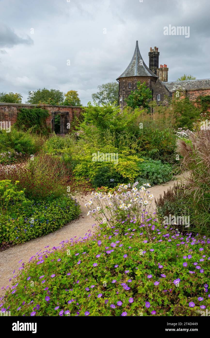 Piantare a fine estate nel Paradise Garden presso il giardino RHS Bridgewater a Worsley, Salford, Manchester, Inghilterra. Foto Stock