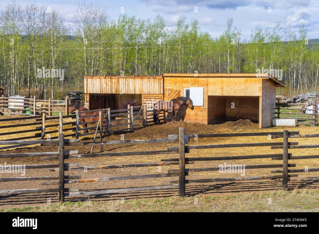 Braeburn Lodge è un roadhouse sulla Klondike Highway nel territorio canadese dello Yukon. Si trova ad est del lago Braeburn e a nord di Braeburn Moun Foto Stock