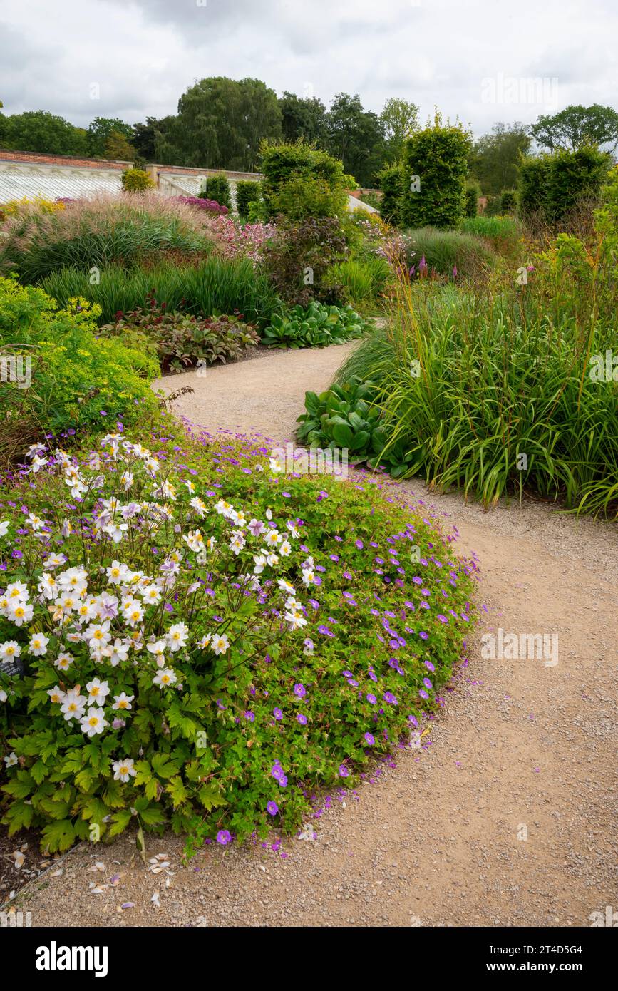 Piantare a fine estate nel Paradise Garden presso il giardino RHS Bridgewater a Worsley, Salford, Manchester, Inghilterra. Foto Stock