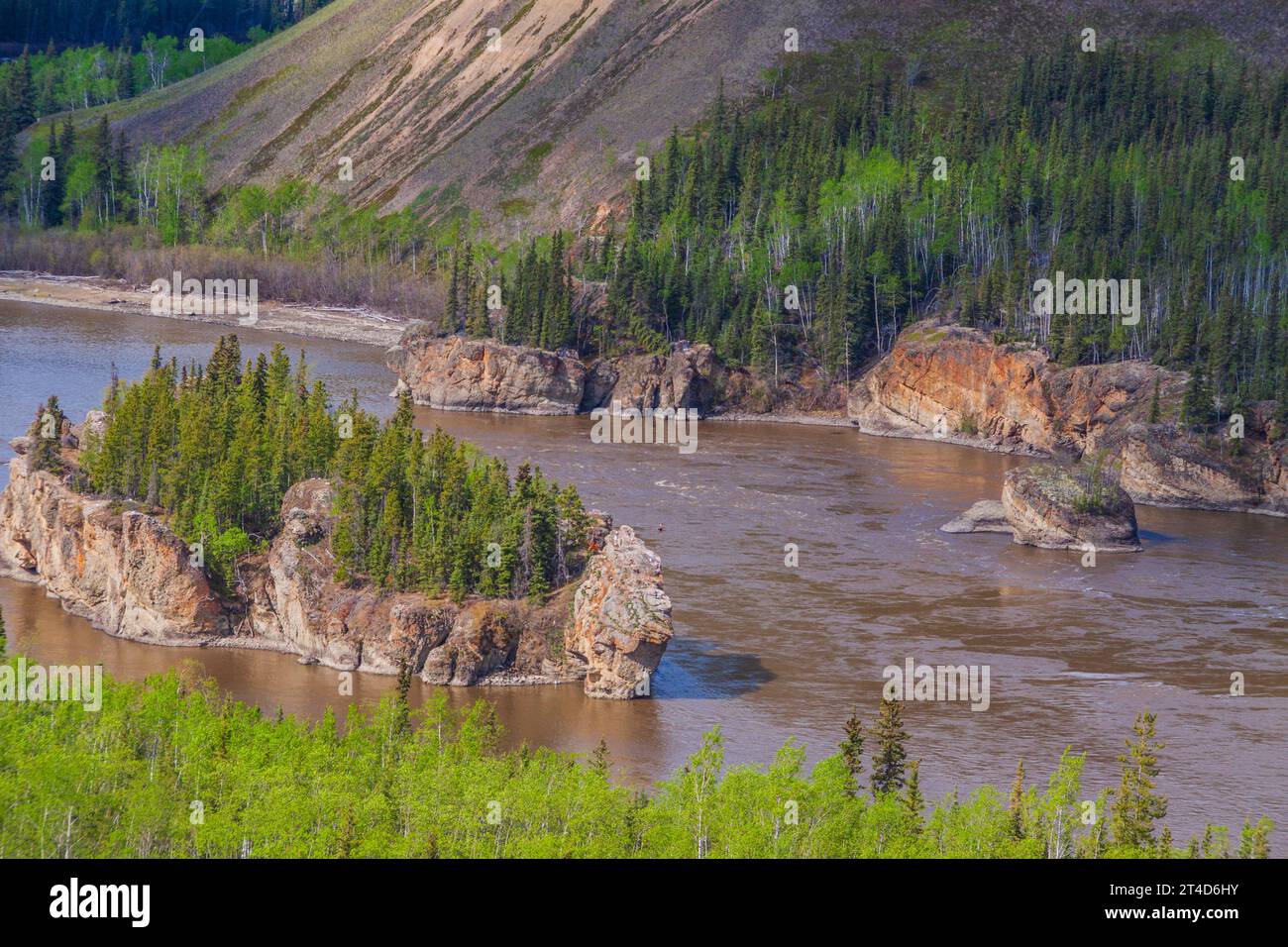 Rapide Five Finger sul fiume Yukon, un famoso ostacolo per i piroscafi in pedalò durante la corsa all'oro di Klondike. Foto Stock