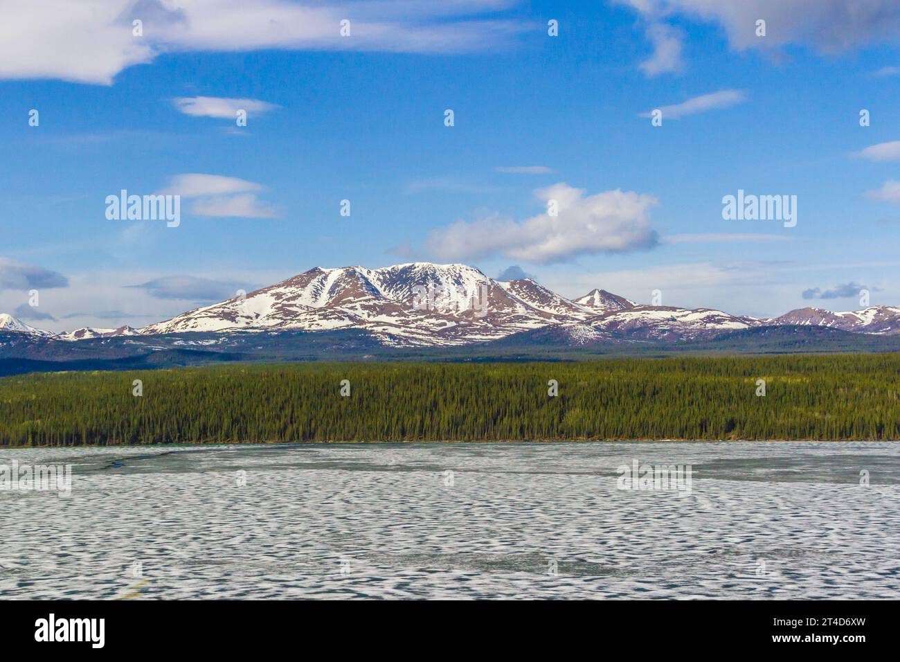 Il lago Fox sul fiume Yukon, nel territorio dello Yukon, in Canada, sta appena iniziando a sciogliersi nell'ultima settimana di maggio. È ancora per lo più congelato. Foto Stock