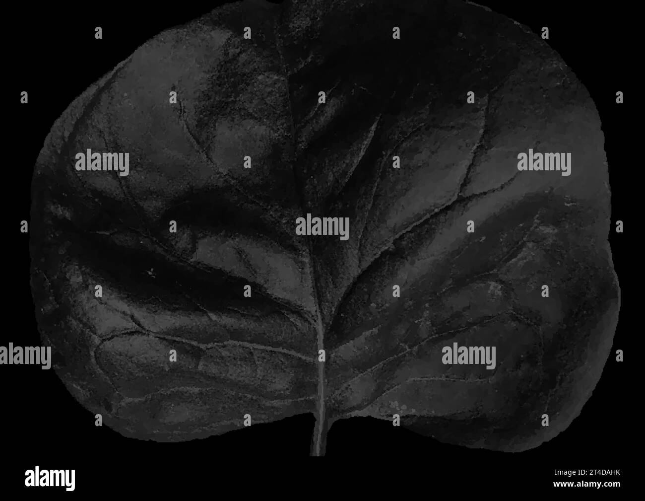 Sfondo vettoriale naturale astratto a foglia nera minimo Illustrazione Vettoriale