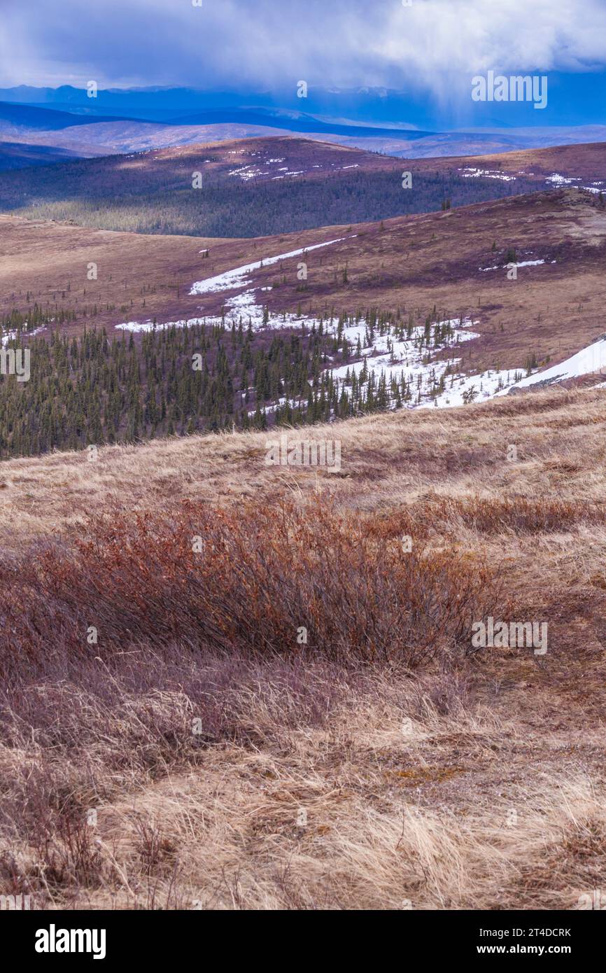 Neve sulle montagne e sulle colline, vista dalla "Top of the World Highway" o dalla Yukon Highway 9. Autostrada tra Dawson City e Alaska. Foto Stock