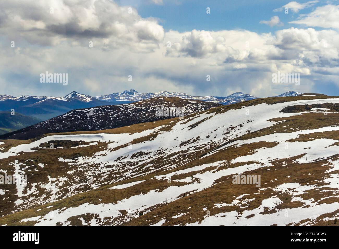 Neve sulle montagne e sulle colline, vista dalla "Top of the World Highway" o dalla Yukon Highway 9. Autostrada tra Dawson City, Yukon e Alaska. Foto Stock