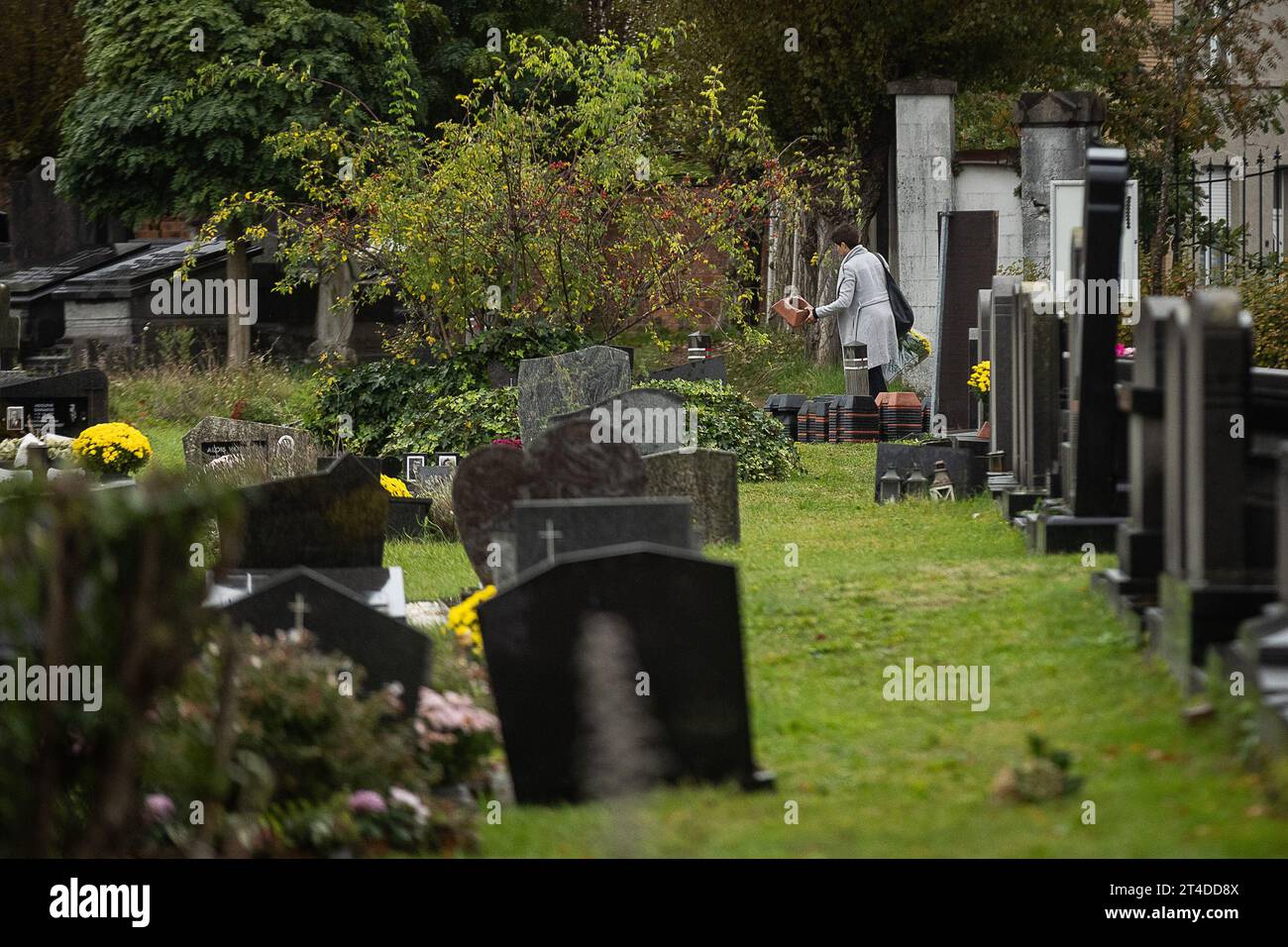 La foto mostra i preparativi per la giornata di Ognissanti presso il cimitero "campo Santo" di Sint-Amandsberg, Gent, lunedì 30 ottobre 2023. Il giorno di Ognissanti è una festa cristiana celebrata il 1° novembre. Le persone visitano le tombe dei loro cari e portano fiori, spesso crisantemi, per decorare le tombe. BELGA FOTO JAMES ARTHUR GEKIERE Foto Stock