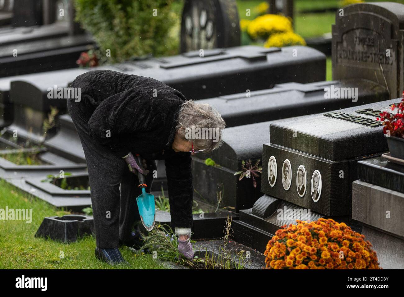 La foto mostra i preparativi per la giornata di Ognissanti presso il cimitero "campo Santo" di Sint-Amandsberg, Gent, lunedì 30 ottobre 2023. Il giorno di Ognissanti è una festa cristiana celebrata il 1° novembre. Le persone visitano le tombe dei loro cari e portano fiori, spesso crisantemi, per decorare le tombe. BELGA FOTO JAMES ARTHUR GEKIERE Foto Stock