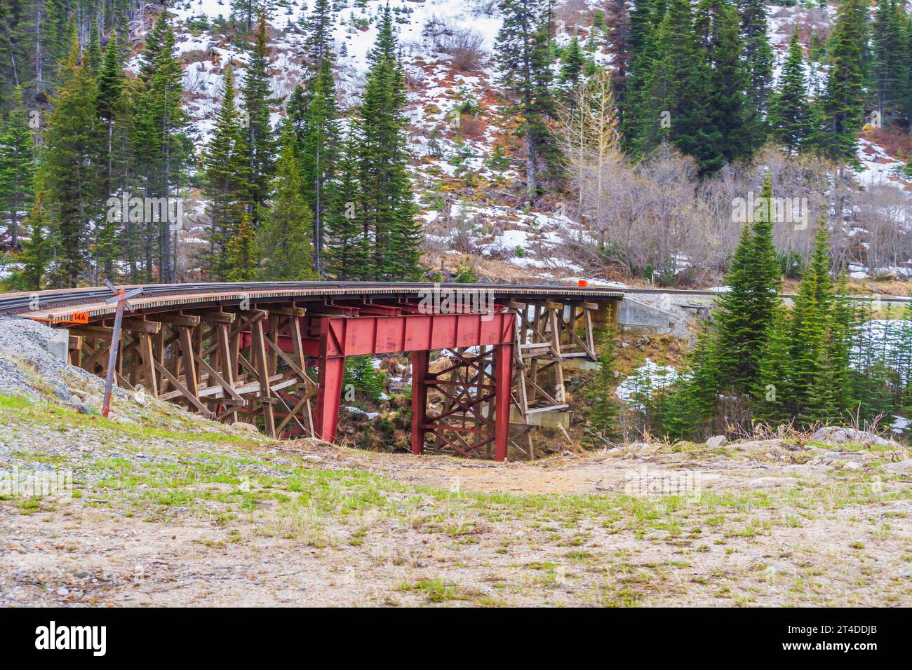 Il viaggio in treno della White Pass e della Yukon Route (WP&YR) Railroad da Skagway, Alaska, a Fraser, British Columbia, sfrutta l'incredibile impresa ingegneristica. Foto Stock