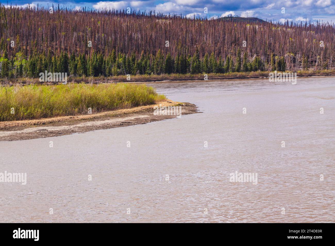 Fiume Yukon nel territorio dello Yukon, Canada. Foto Stock