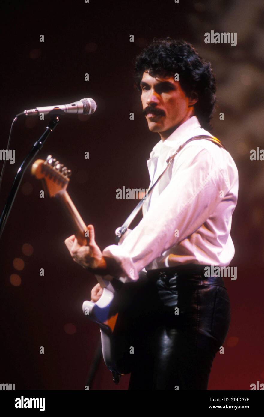 HALL E OATES; Hall & Oates; duo pop rock americano formato a Philadelphia nel 1970; DARYL HALL ; 1981 Credit: Lynn McAfee / Performing Arts Images www.performingartsimages.com Foto Stock