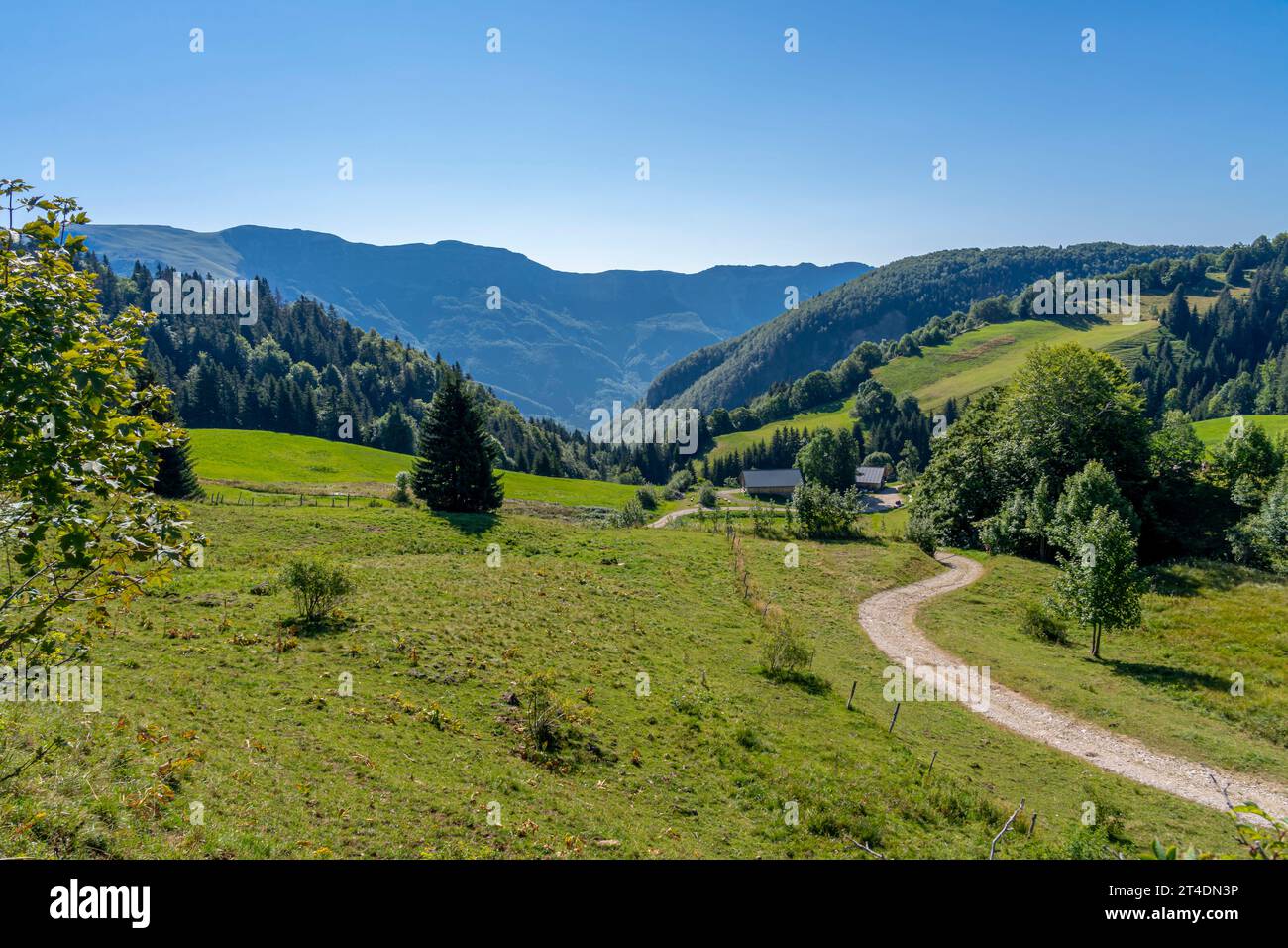 Vista del paesaggio con colline, prati, boschi, un sentiero e una casa Foto Stock