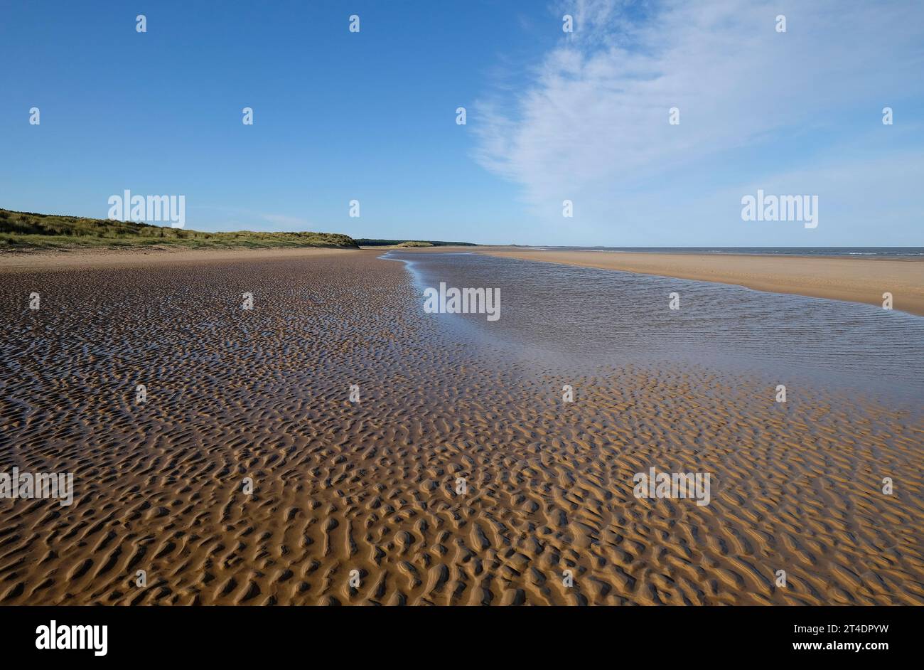 Holkham beach, a nord di Norfolk, Inghilterra Foto Stock