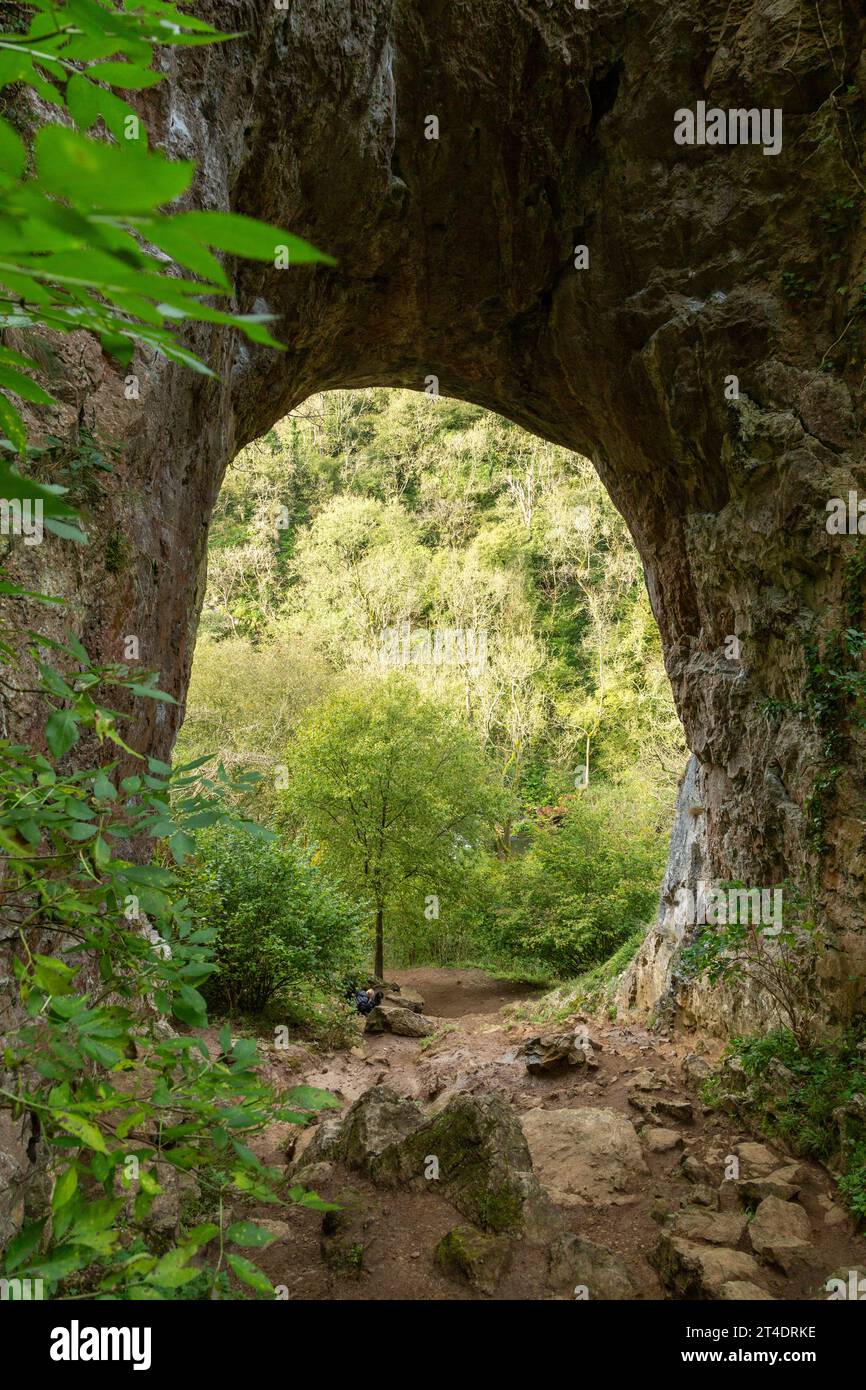 Reynards Cave Arch, Dovedale, Derbyshire Foto Stock