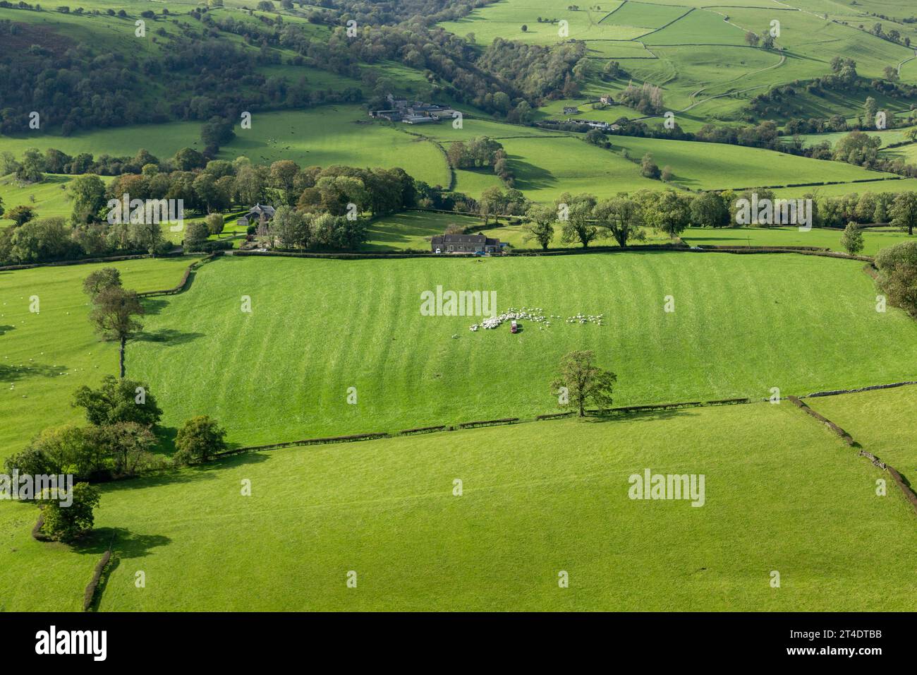 Un pittoresco mosaico di campi verdi vicino a Ilam, visto da Bunster Hill, Staffordshire, Inghilterra Foto Stock