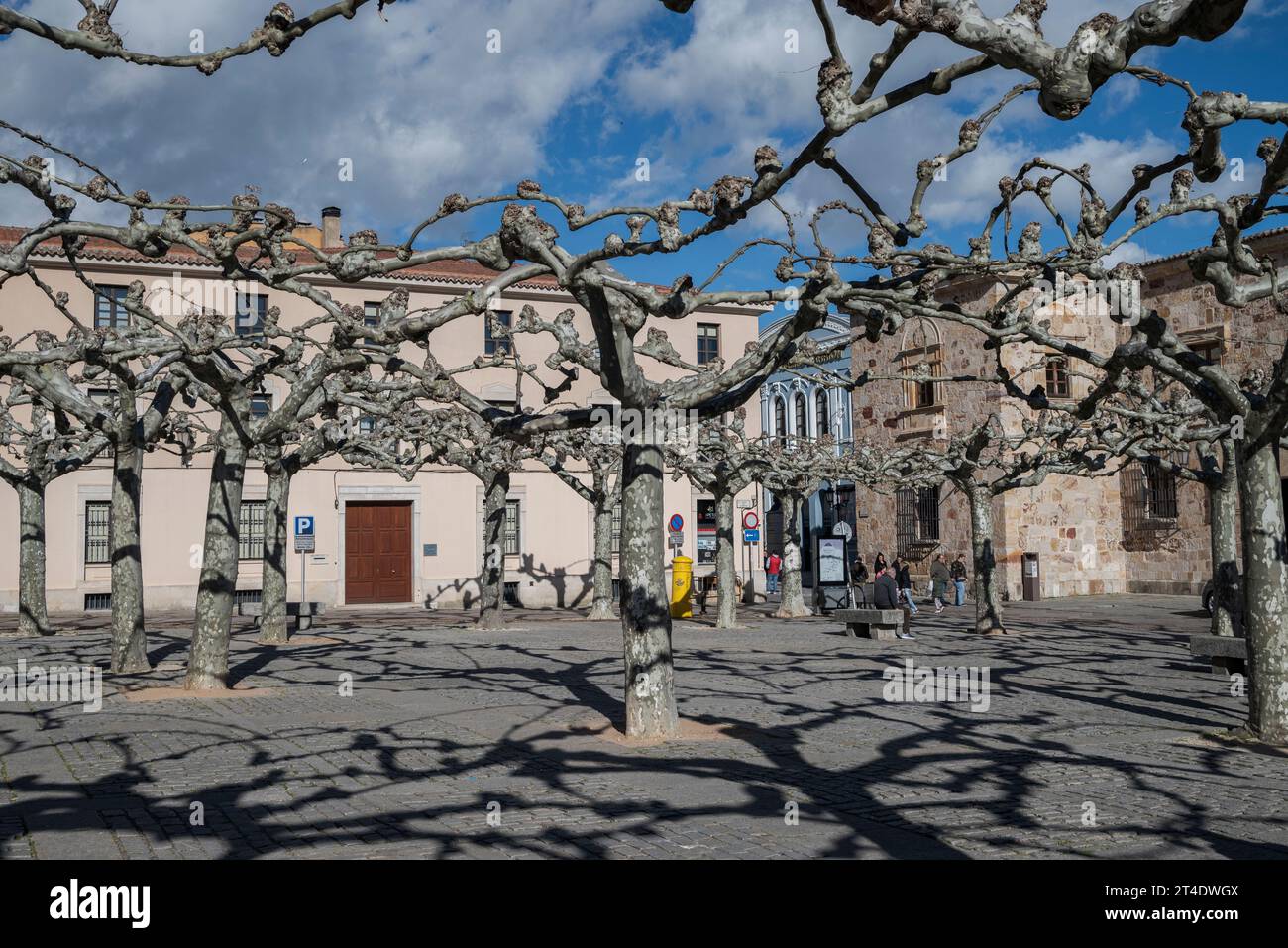 ZAMORA, SPAGNA – 1 APRILE 2023: Piazza Viriato, a Zamora, Spagna. Il suo nome attuale è dovuto alla statua dello scultore Zamora Eduardo Barron dedicata Foto Stock