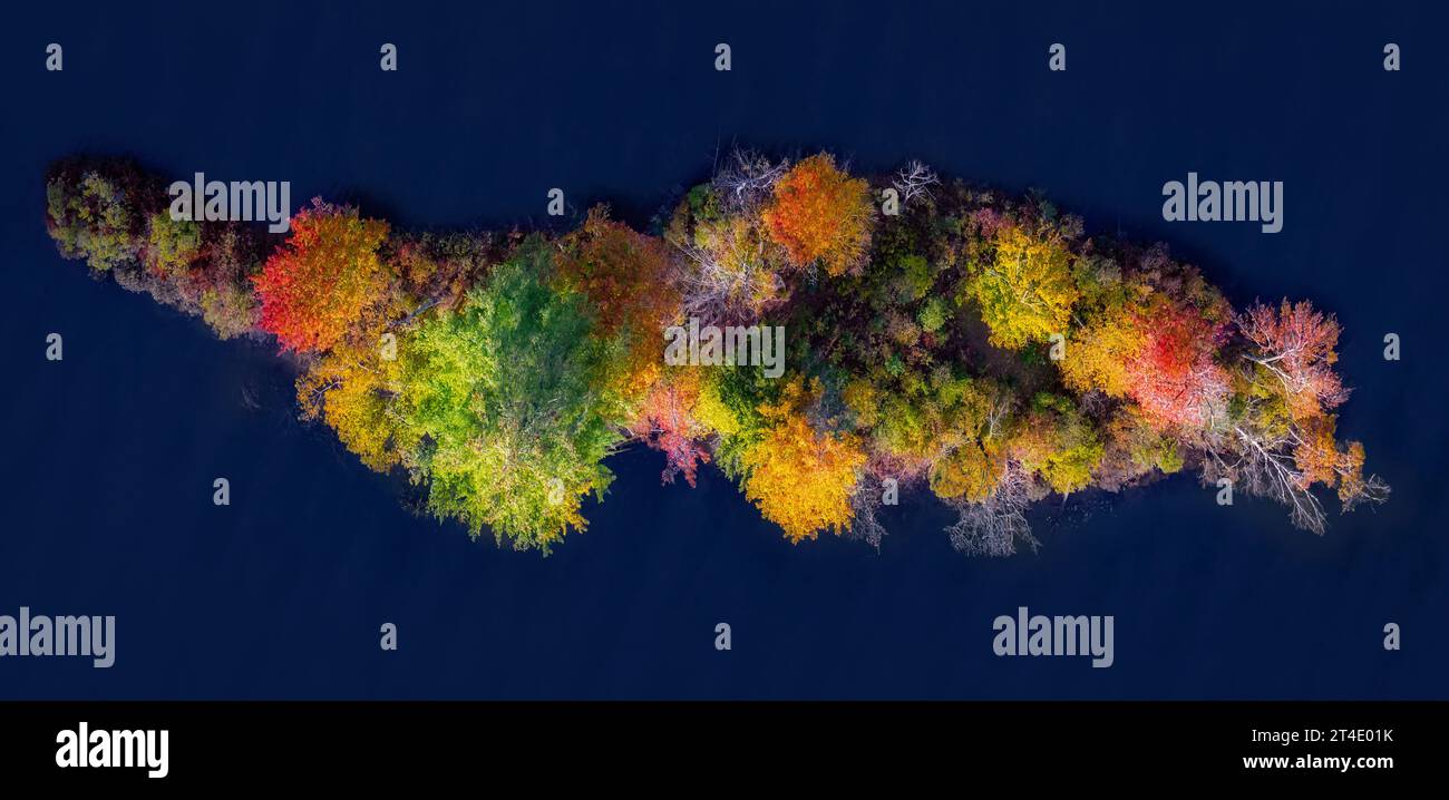 Vermont Fall Colors - Vista aerea dall'alto verso il basso di una piccola isola che dona un tocco di colore durante la stagione autunnale del fogliame in uno stagno di VT. Foto Stock