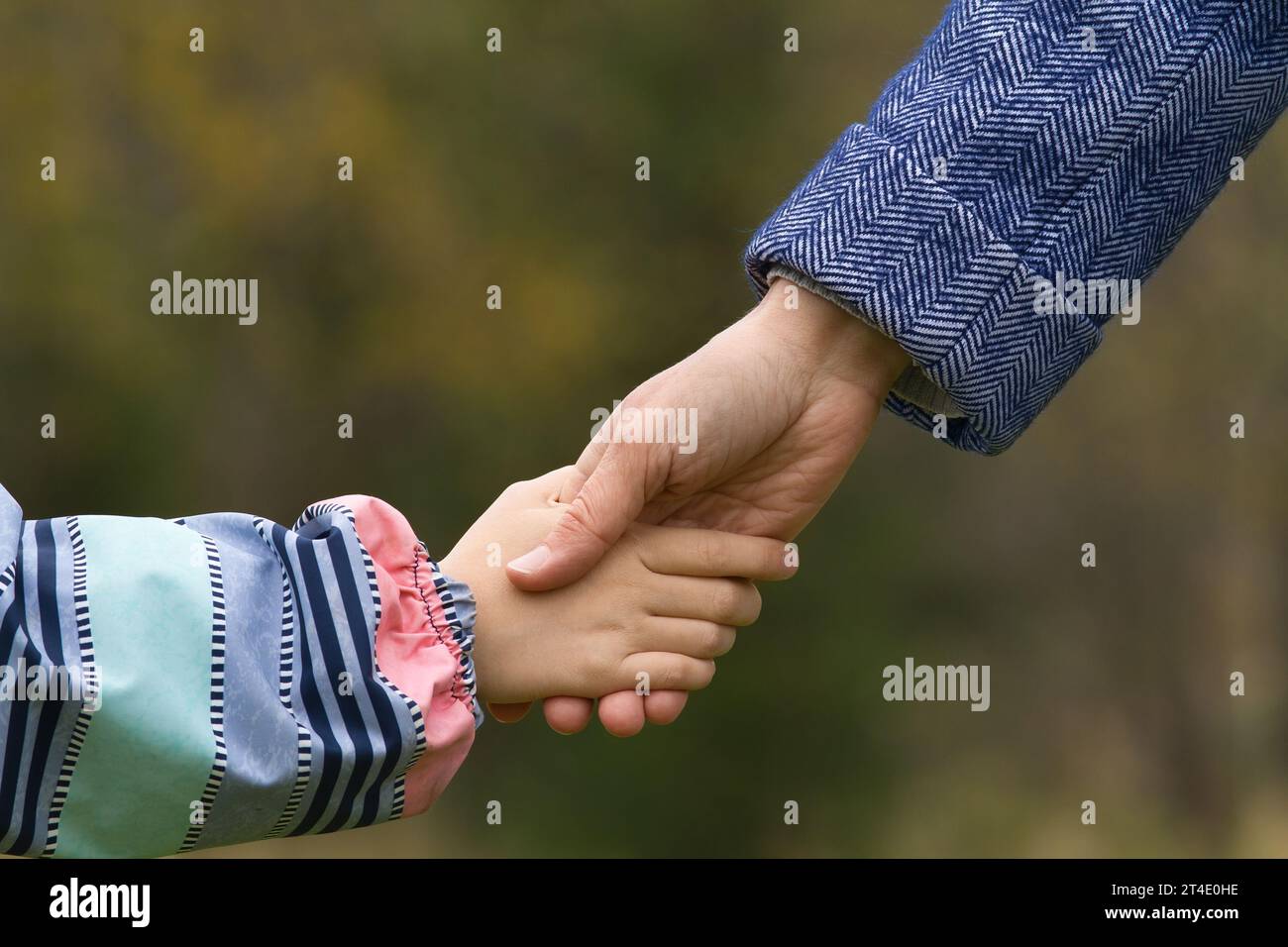 Madre che tiene una mano a sua figlia nel tardo autunno, primo piano Foto Stock