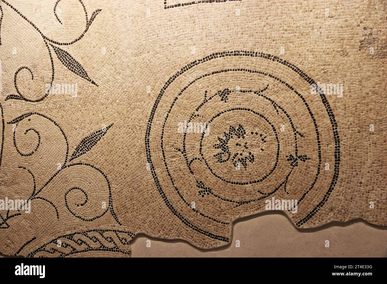 Palazzo Esercito a Roma, Italia Foto Stock