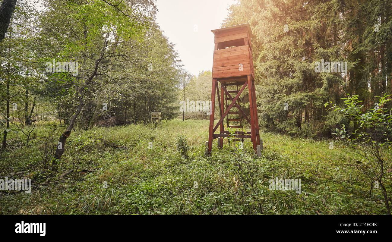 Torre di caccia in legno in una foresta. Foto Stock
