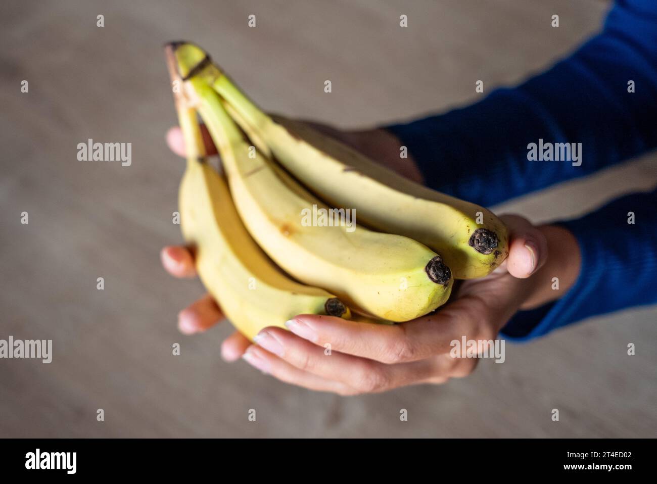 La donna tiene dei frutti in mano. La ragazza tiene una banana. Banane nelle mani di una donna. Banane gialle. Foto Stock