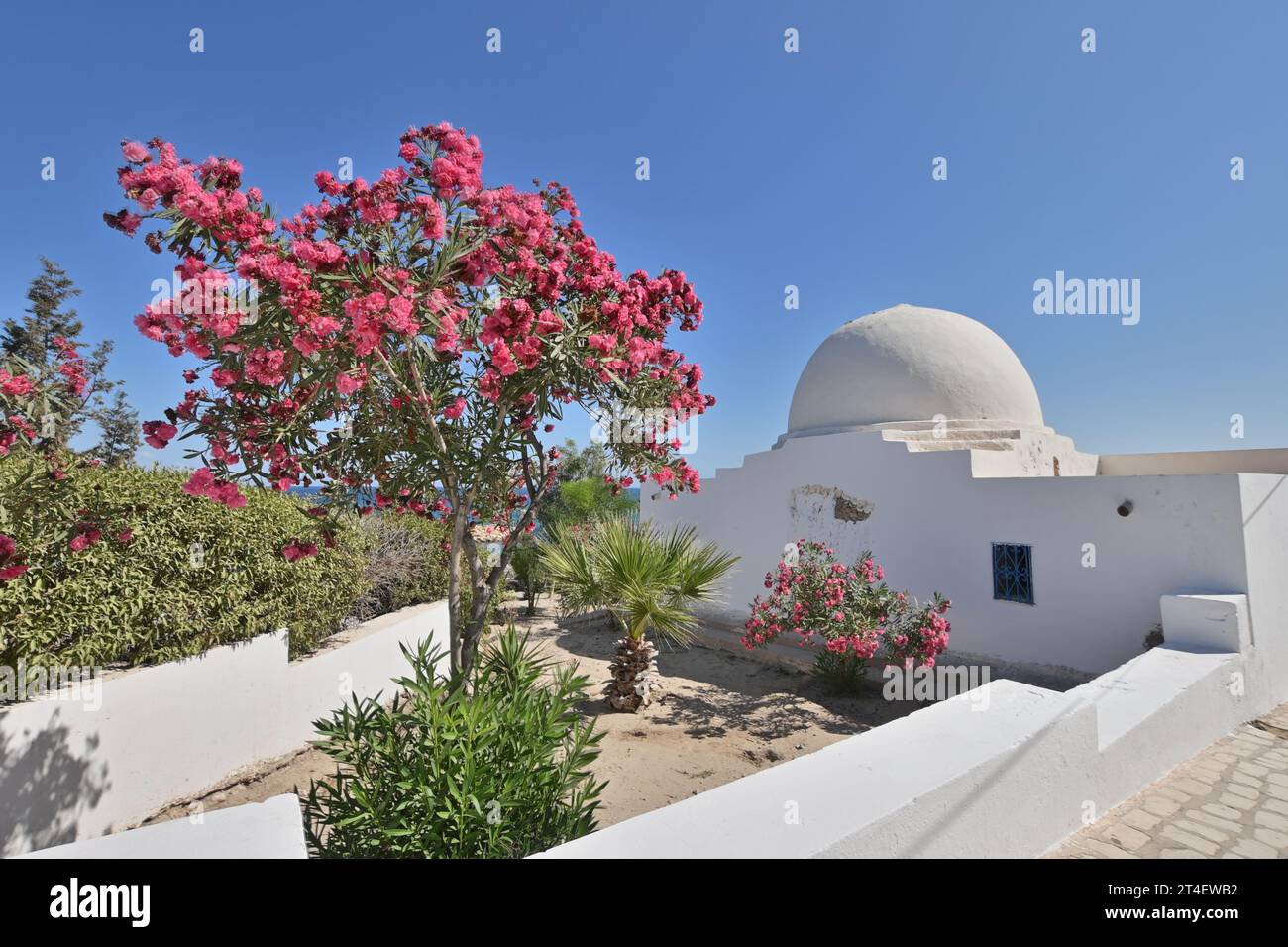 Villaggio di Hergla, Tunisia Foto Stock