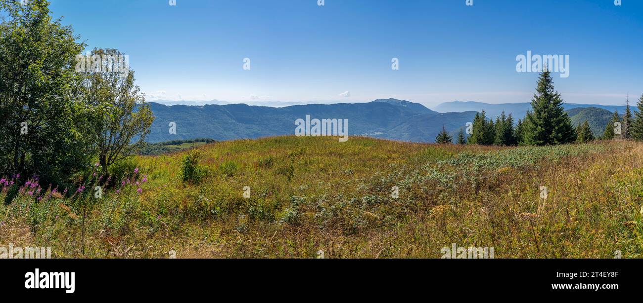 Vista del paesaggio con colline, prati, foreste e montagne Foto Stock