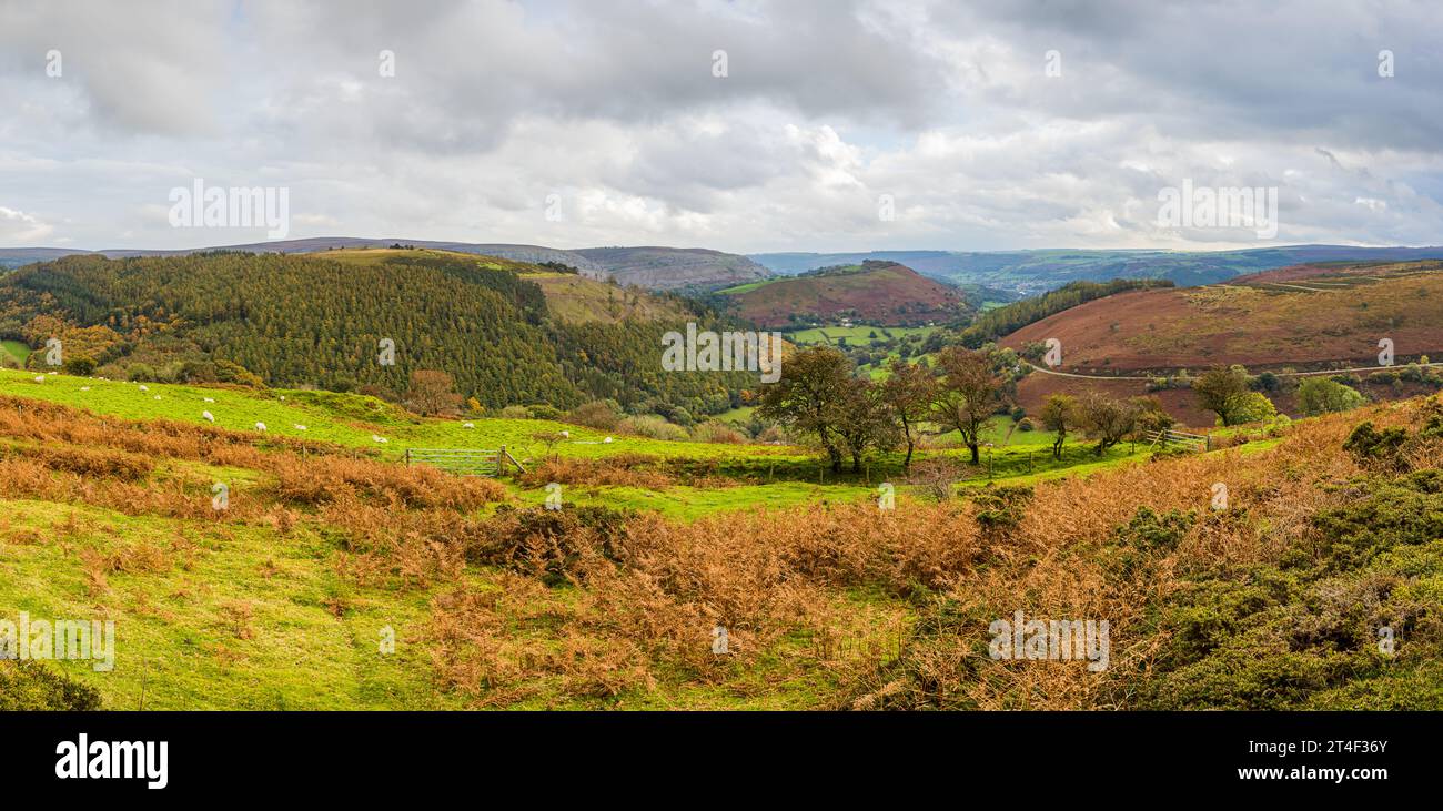 Un panorama multi immagine del passo a ferro di cavallo che si piega intorno al monte Llantysilio in autunno. Foto Stock